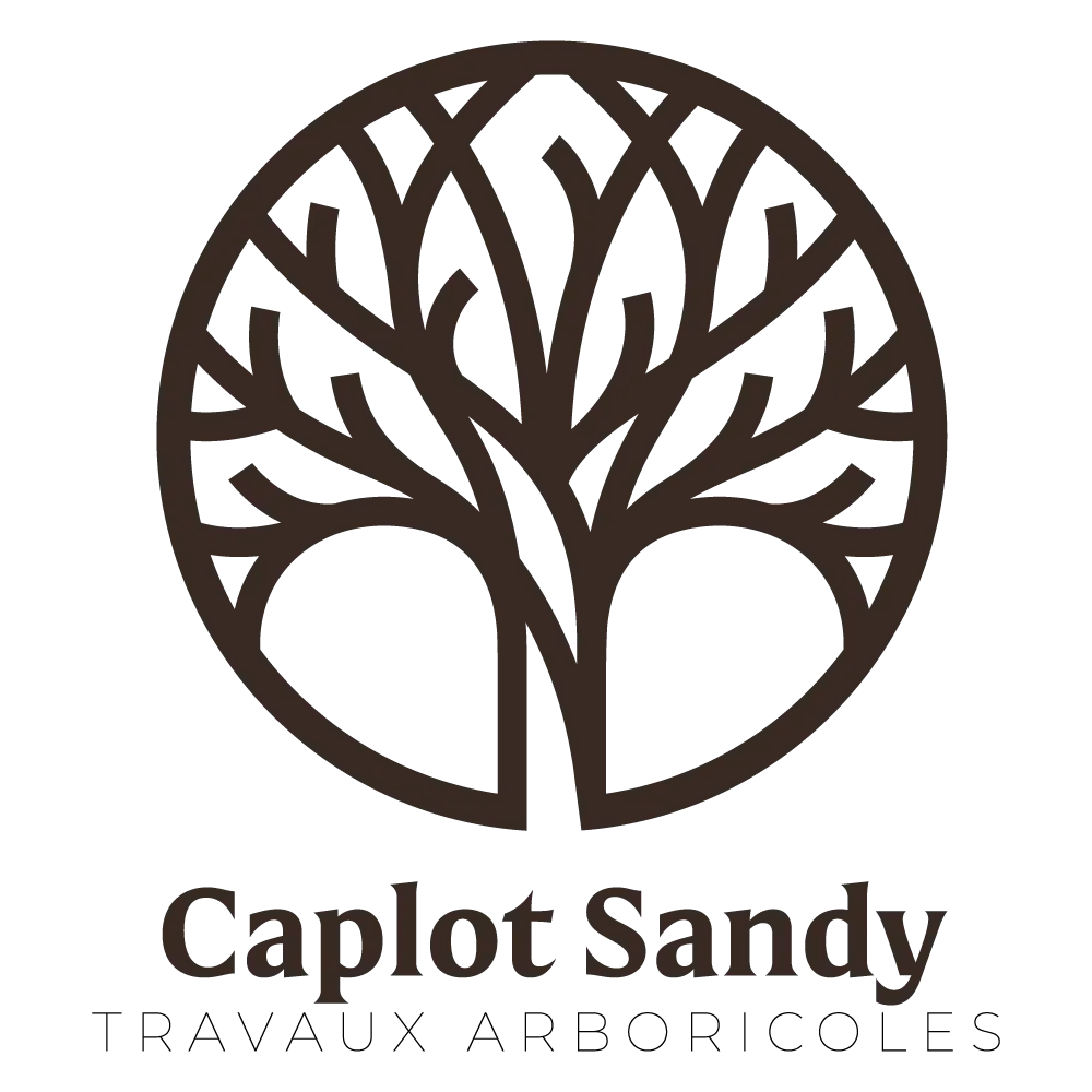 logo Caplot Sandy (2)